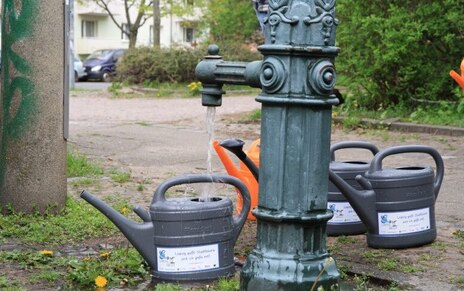 vier Gießkannen, ein Brunnen